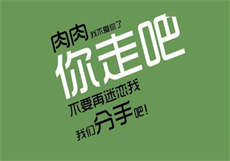 see全系列有哪些
